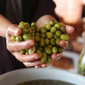 Biologische Fairtrade Palestijnse Olijfolie kopen