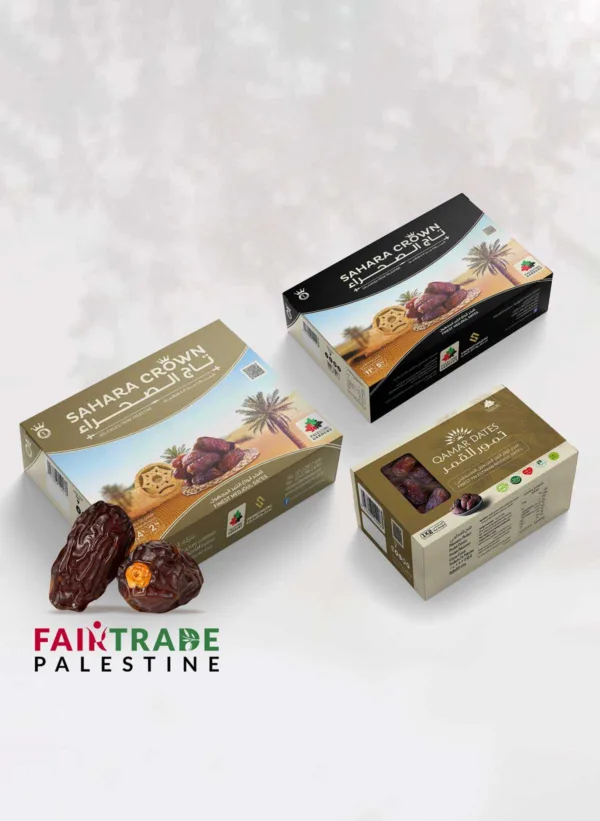 medjoul-dadels-kopen-uit-Palestina