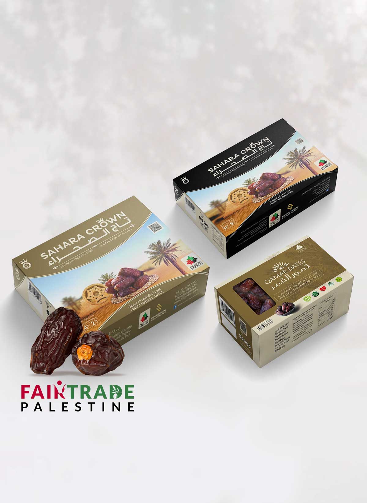 medjoul-dadels-kopen-uit-Palestina