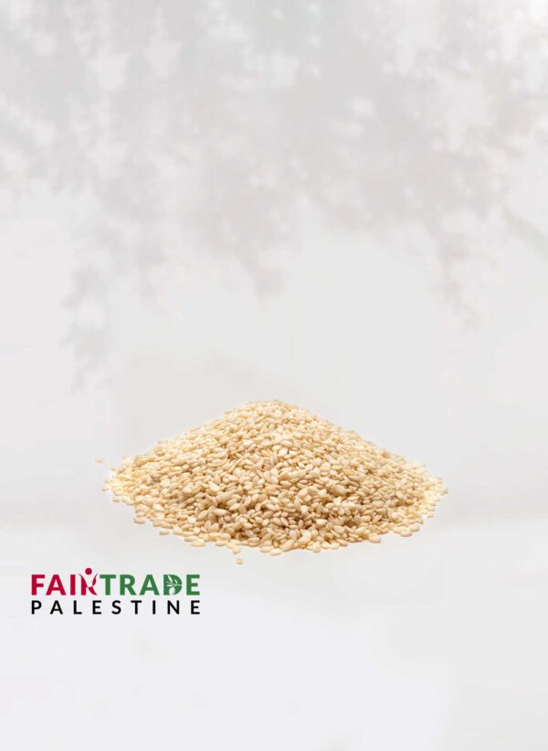 Fairtrade Palestijnse Tahini (sesampasta)