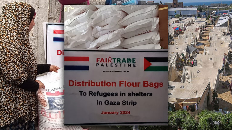 donatie-bloem-gaza palestijnen helpen