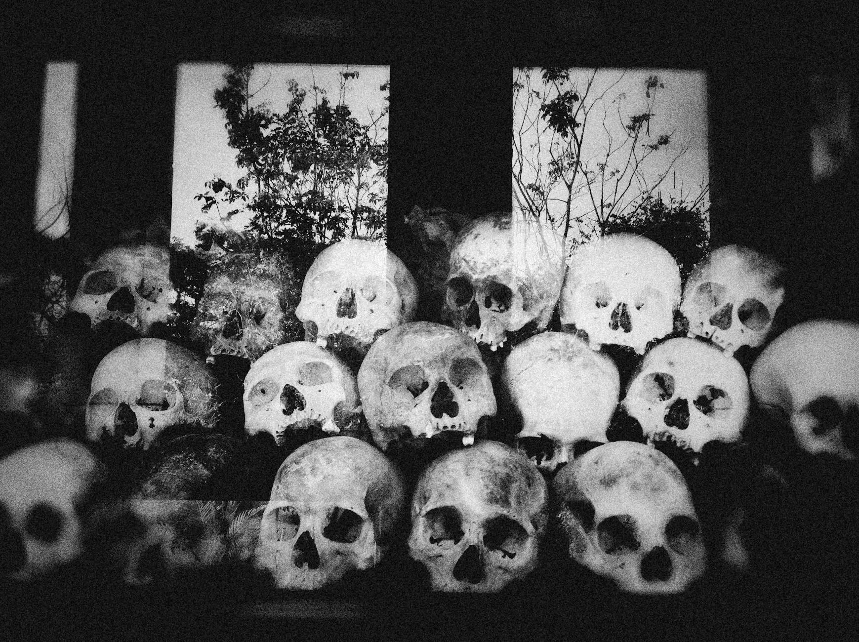 grayscale photo of skulls
