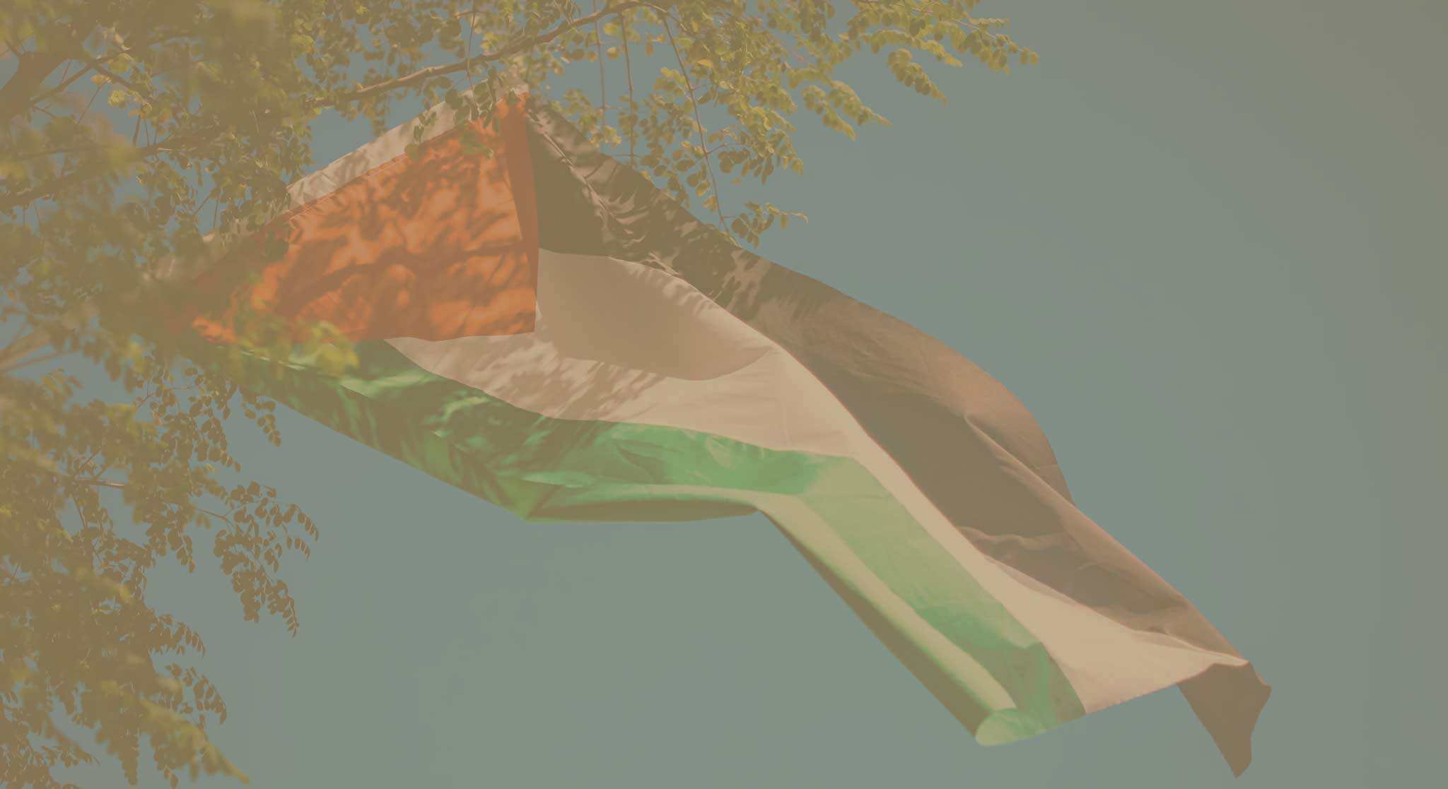 Ramadanbox Palestijnse Dadels (Jumbo)